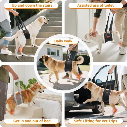 Vista 8 de LOOBANI - Arnés portátil para perros pequeños, soporte para patas traseras débiles Walking & Stair Assistance, Senior Dog Mobility, Padded