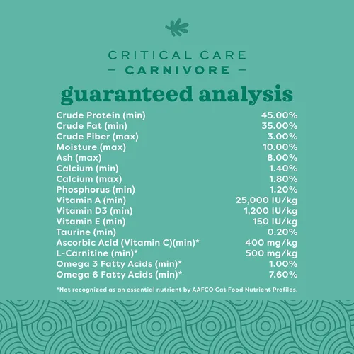 Vista 5 de Oxbow Critical Care Carnivore, hecho con huevo entero y pollo seco, fórmula para alimentación asistida para carnívoros, suplementos para gatos