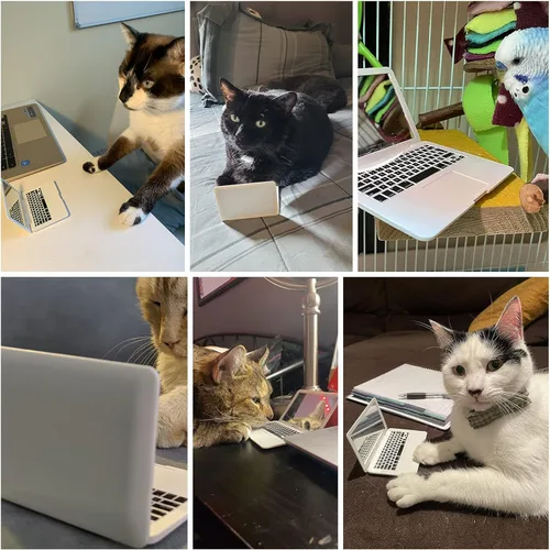 Vista 3 de ebuddy Mini casa de muñecas de juguete gato portátil pequeño espejo de computadora falso para gato (blanco)