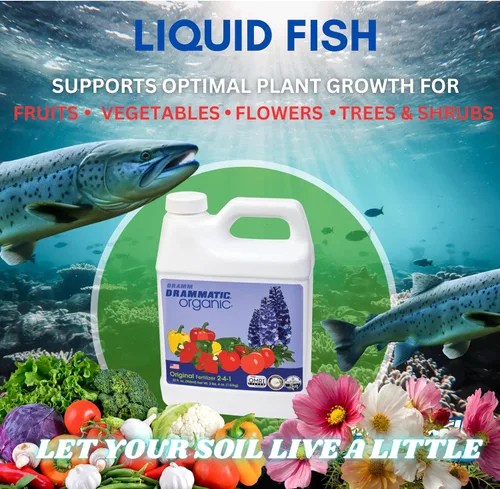 Vista 2 de Dramm Drammatic® Organic™ Fertilizante original 2-4-1, fertilizante líquido hidrolizado para pescado, para verduras, flores y frutas, 1 galón