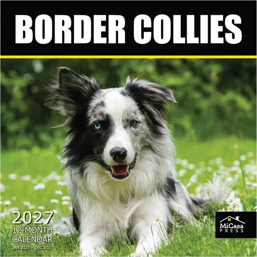 Vista 98 de MICASA PRESS Calendario de pared de Australian Shepherds Aussies 2027 02 - Pastores australianos