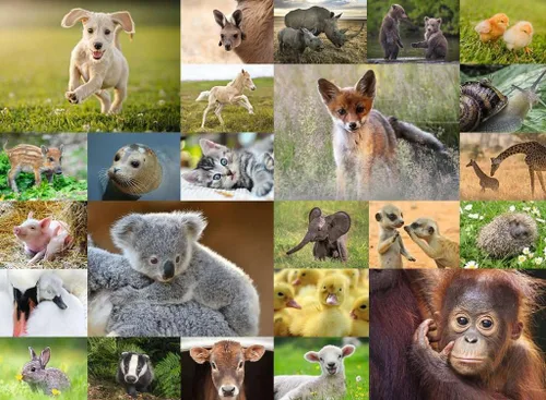 Vista 2 de Ravensburger 13353 Cute Animal Babies - Rompecabezas de 200 piezas para niños a partir de 8 años