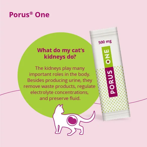 Vista 5 de Porus One, 500mg, 30ct