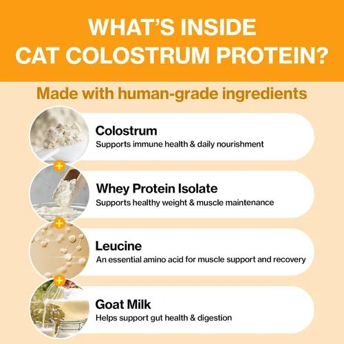 Vista 7 de Doctor By Suplemento de Proteína de Colóstrato para Gatos con Soporte Inmune y Crecimiento Muscular, Suave para la Digestión de Gatitos, Gatos