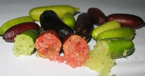 Vista 3 de Finger Limes más bien conocidas como caviar cítrico (0.18 onzas)