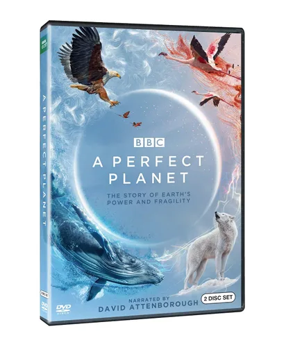 Vista 2 de Perfect Planet