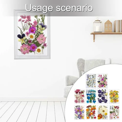 Vista 2 de Natural Pressed Dried Flower for Epoxy Resin Dry Flowers and Leaves Set for Soap Jewelry Making Scrapbooking Phone Case Decoration Section B