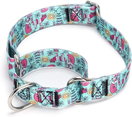 Vista 26 de Collar de perro de nailon resistente, collar ajustable de martingala para perros para caminar y entrenamiento para perros machos y hembras perros