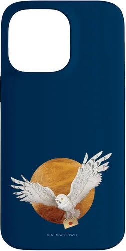 Vista 21 de Harry Potter Hedwig and The Moon Case for iPhone 17