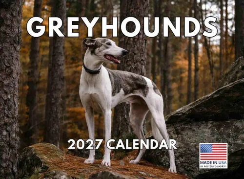 Vista 100 de Calendario mensual de pared Airedale Terrier Dog 2027