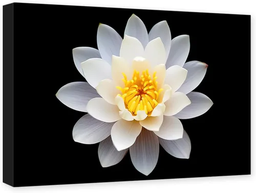 Vista 8 de CXHOSTENT Lienzo Zen para pared, diseño de flor de loto blanco, pintura de spa, meditación, espíritu, baño, yoga, decoración de marco