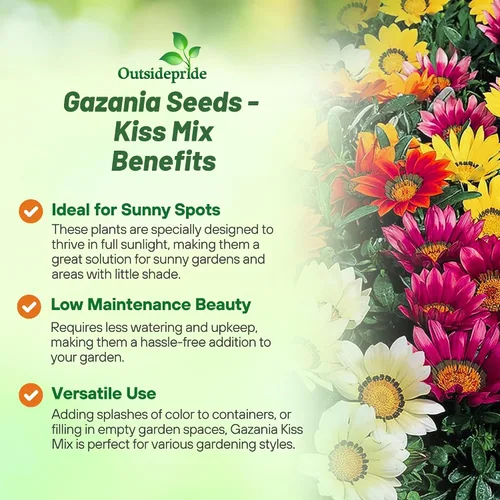 Vista 3 de Outsidepride 25 semillas perennes Gazania Kiss Mix tolerantes al calor y la sequía semillas de cobertura del suelo para plantar