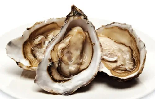 Vista 2 de Ostras secas 100% mariscos secos naturales Hao Shi Hai Li (S 2 libras)