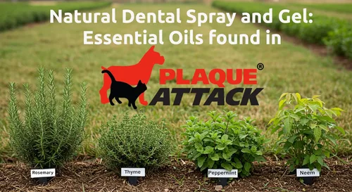 Vista 5 de Spray dental para mascotas