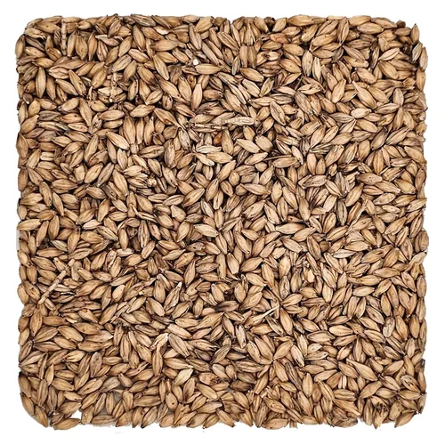 Vista 18 de Briess 26-QVZH-HVSI Grano de malta de cerveceros estadounidenses para elaboración de cerveza y cerveza casera 1 lb. (2 filas de cerveceros), marrón