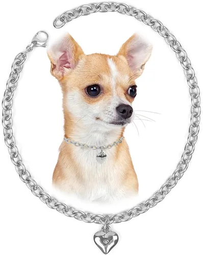 Vista 13 de HOWWFALY Collar para Perro y Cadena Collar para Gato de Acero Inoxidable Ajustable Collar en Forma de Corazón de Oro 18K para Mascotas Pequeñas