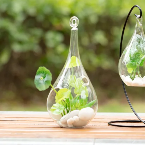 Vista 6 de WGV - Terrario colgante de cristal para plantas, ancho 4 pulgadas, altura 9.25 pulgadas, lágrima, maceta de aire para suculentas, luz de té