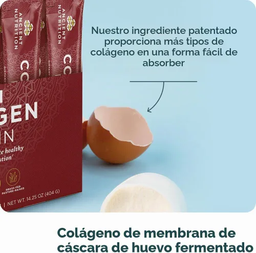 Vista 7 de Ancient Nutrition Multi Colágeno, 1