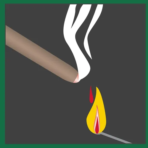 Vista 8 de PIC CIT STK Citronella Sticks, verde