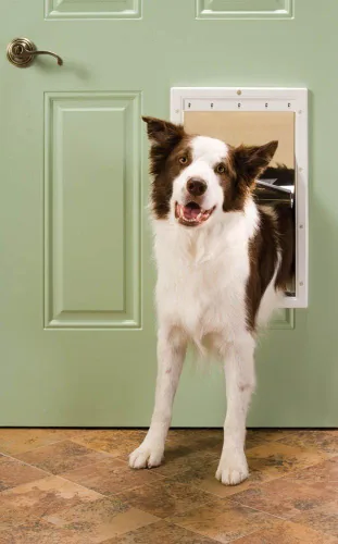 Vista 2 de PetSafe Puerta para mascotas, grande