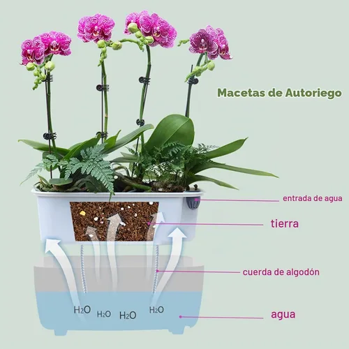 Vista 3 de Paquete de 5 macetas rectangulares de 11.8 x 4.6 pulgadas, macetas de riego automático para alféizar de ventana, macetas rectangulares