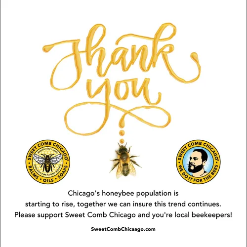 Vista 7 de Sweet Comb Chicago Spray para garganta y boca de propóleo de abeja, apoyo inmunológico, refuerzo de la salud y el bienestar. 2oz por el precio de 1