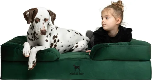Vista 19 de NOAH & PAW Cama para perros pequeños, 20 x 15 x 8 pulgadas, cama para gatos de interior, espuma viscoelástica ortopédica de cáscara de huevo