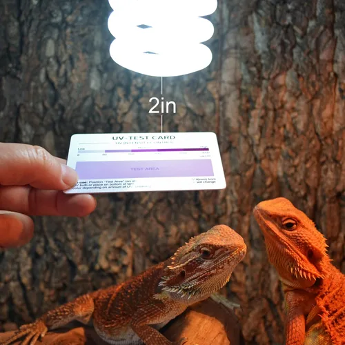 Vista 6 de LIKZINWA Tarjeta de sensor UVB, paquete de 2 tarjetas de prueba de lámpara de reptil, sensor UV, lámpara fluorescente UVB para reptiles