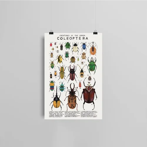 Vista 4 de Póster de lienzo de animales para pared, imágenes de animales, guía de coleópteros, insectos, escarabajos, impresiones de conocimiento, estética