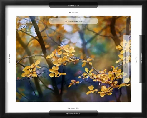 Vista 5 de ART.COM Arte enmarcado para pared, hojas de otoño por Ursula Abresch, decoración escénica, 16 x 12 pulgadas, marco negro con paspartú blanco