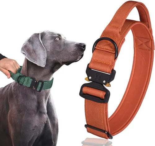 Vista 4 de Collar táctico para perro, collar ajustable de nailon para entrenamiento militar con mango de control y hebilla de metal pesado para perros medianos
