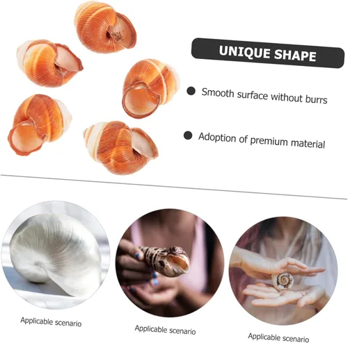 Vista 5 de OUNONA 5 unidades de caracoles naturales para caracoles horneados estilo francés cocinar servir caracol decorativo para platos de mariscos