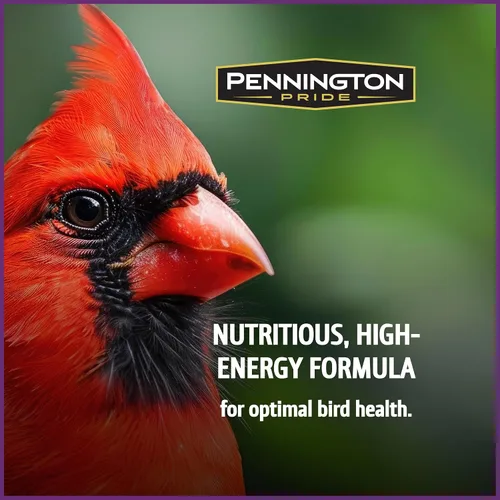 Vista 4 de Pennington Pride Songbird - Mezcla de frutos secos y frutas, semillas de aves silvestres para comederos exteriores, fórmula nutricional avanzada