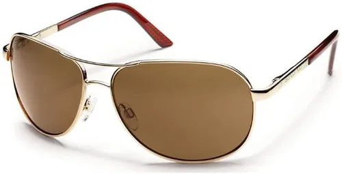 Vista 4 de Gafas de sol polarizadas con marco doradolentes de policarbonato polarizado marrón con kit de limpieza de lentes