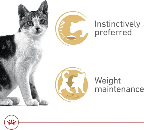 Vista 3 de Royal Canin Feline Health Nutrition - Alimento instintivo para adultos, rebanadas finas en salsa para gatos, 3 onzas (paquete de 18)