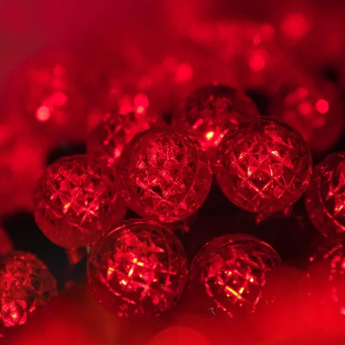Vista 7 de Wintergreen Lighting Guirnalda de luces LED color frambuesa de 24 pies, color dorado