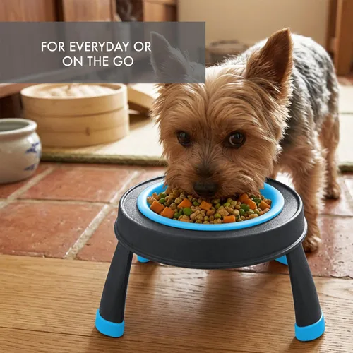 Vista 3 de Dexas Comedero elevado para mascotas, pequeño, capacidad de 1.5 tazas, azul, cuenco elevado para alimentos y agua para mascotas