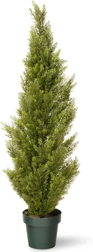 Vista 10 de Pino Thuja de plástico National Tree con maceta de plástico redonda, verde oscuro