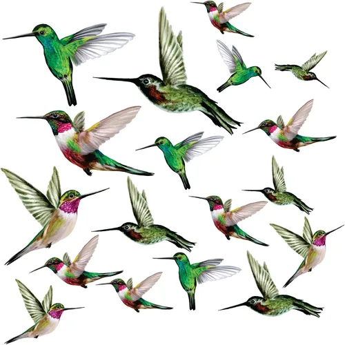Vista 8 de 4 adhesivos para ventanas de colibrí para seguridad de vidrio en puertas, ventanas y paneles. Calcomanías para evitar golpes de pájaros. Fabricado