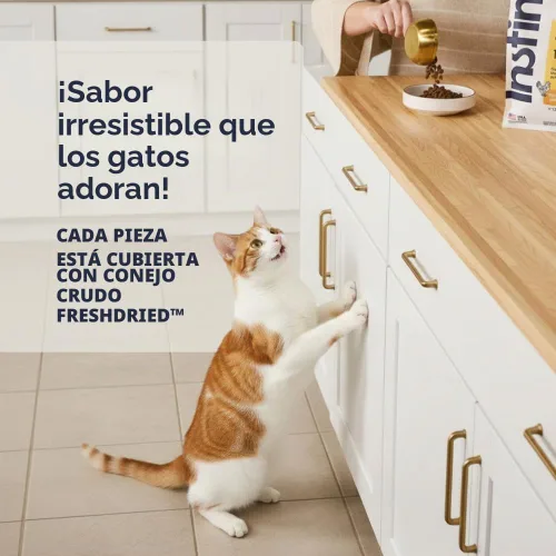 Vista 4 de Instinct Original - Alimento seco para gatos, Rabbit Croquetas crudas con conejo criado en granja para músculos fuertes, salud digestiva y piel