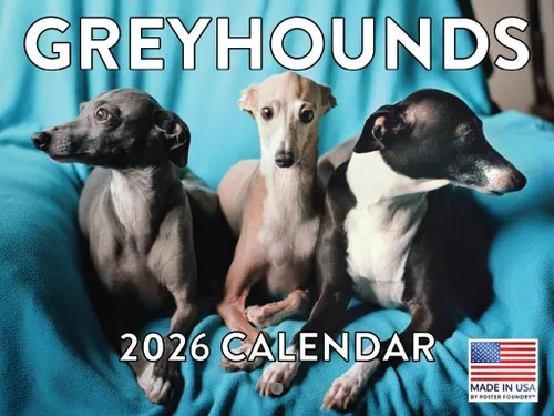 Vista 54 de Calendario mensual de pared Airedale Terrier Dog 2027 rojo (Airedale Terrier)