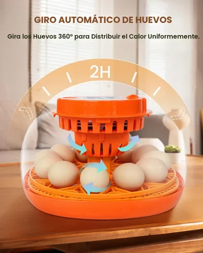 Vista 6 de Incubadora de 12 huevos con giro automático y control de humedad, incubadoras completamente automáticas con vela de huevos, kit educativo