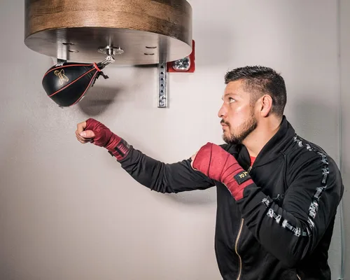 Vista 5 de TITLE Boxing Gyro bolsas de boxeo de velocidad colgadas