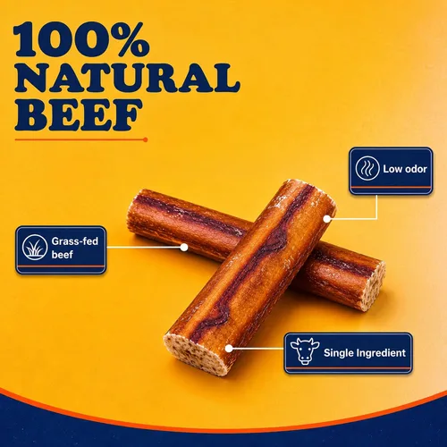 Vista 4 de Bow Wow Labs SafeFit™ Bully Sticks para perros, palitos de carne de res 100% naturales, alimentados con pasto, de bajo olor, masticables de larga