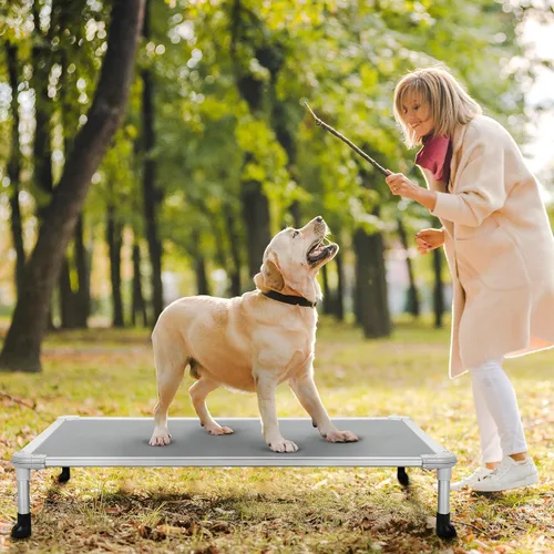 Vista 75 de Veehoo Cama elevada para perros a prueba de mordidas - Cuna elevada refrescante para mascotas - Marco de aluminio plateado y tela de malla