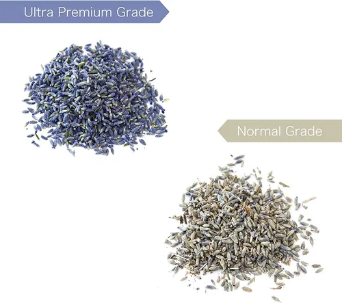 Vista 5 de Lavande Sur Terre 4 tazas de lavanda en botella de vidrio pequeña, brotes de flores de lavanda secas Highland, LV-G-2