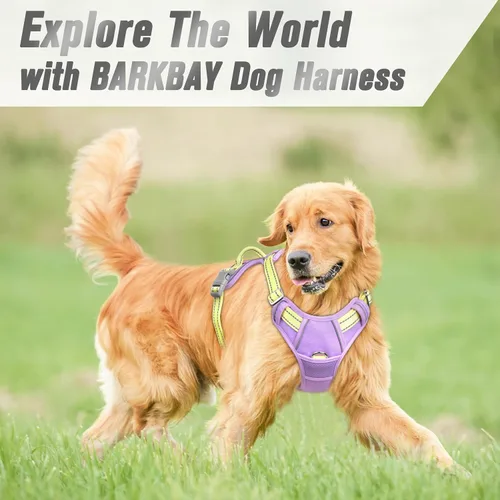 Vista 48 de BARKBAY - Arnés para perro sin tirones con clip frontal, material resistente y reflectante, asa de fácil control para pasear perros grandes