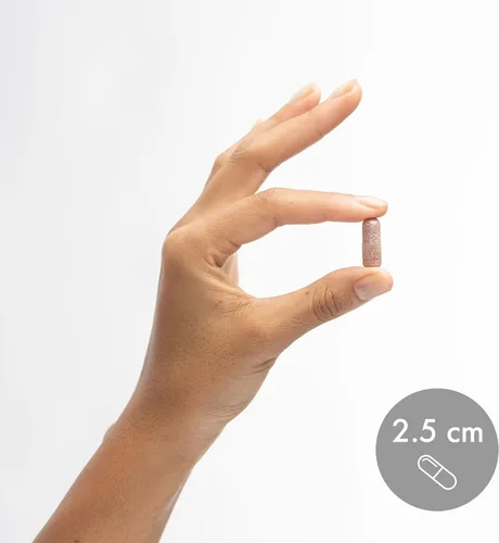 Vista 6 de Dr. Mercola D-manosa y extracto de arándano, 1,000 mg de D-manosa y 400 mg de arándano por porción, suplemento para la salud del tracto urinario