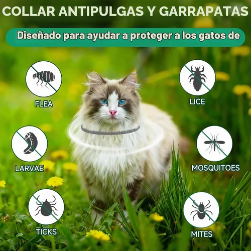 Vista 2 de Collar antipulgas para gatos, tratamiento de pulgas y garrapatas de gato