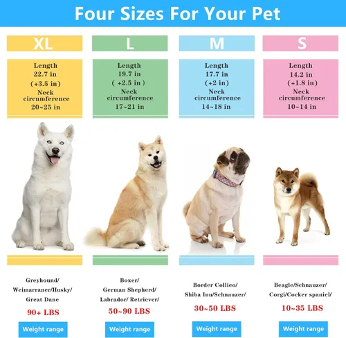 Vista 3 de Collar de entrenamiento para perros, collar de martingala para perros grandes, medianos y pequeños